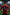 Jaap Stam Manchester United