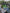 Coventry City Squad Signed Champions 26 Home Shirt-Deluxe Framed #2